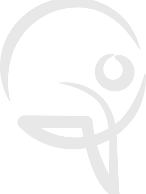 icon-cinza